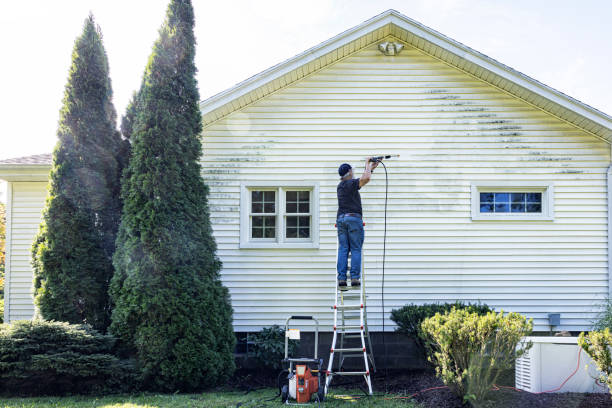 Best Driveway Pressure Washing  in Shorewood Tower Hills Harbert, MI